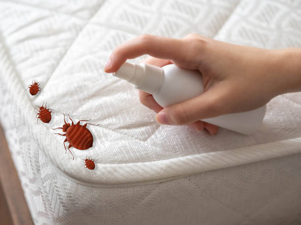 Best Pest Exclusion Services  in The Village Of Indian Hill, OH